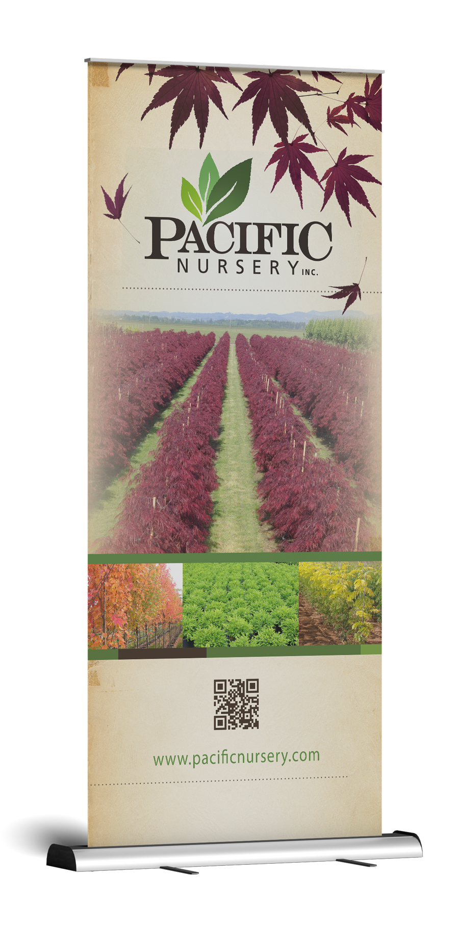 Pacific Nursery Front - Pop Up Banner Design & Print Production