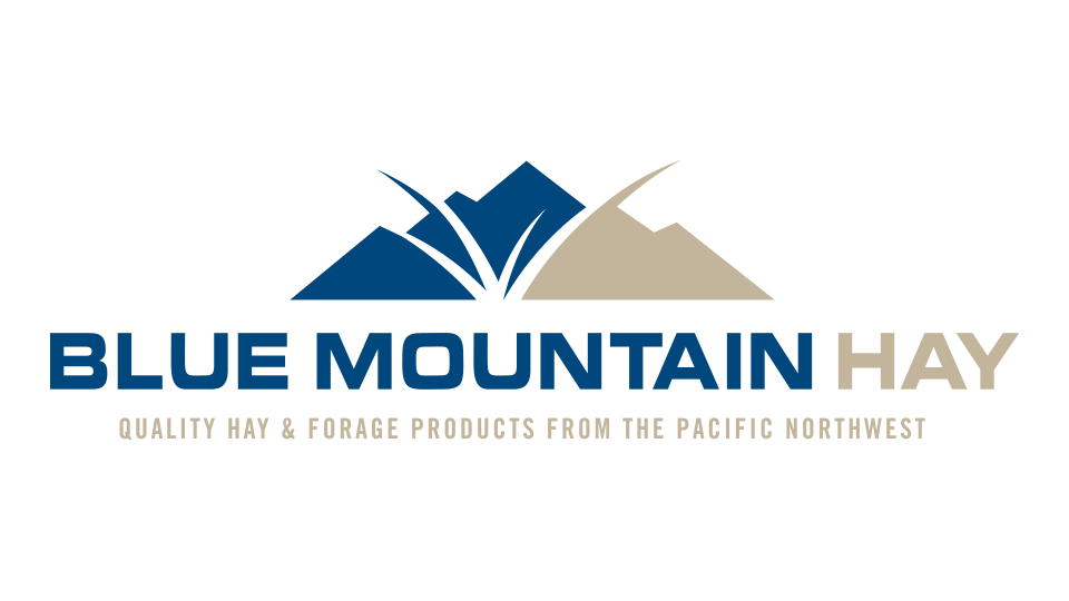 Blue Mountain Hay - Logo Design and Branding