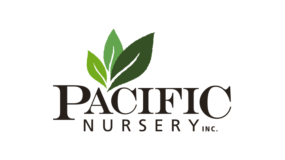 Pacific Nursery - Logo Design and Branding